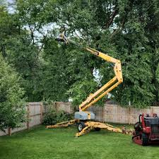 Artificial Turf Installation in Long Beach, CA